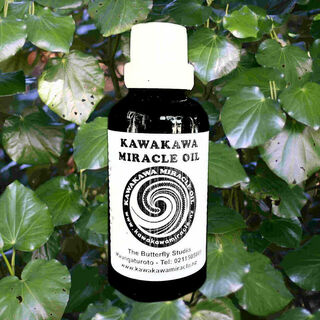 Kawakawa Miracle Oil - 50ml