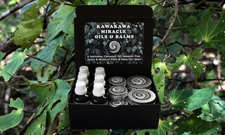 Kawakawa Miracle Display